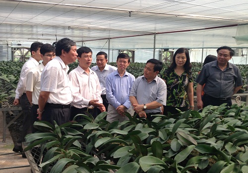 THUY HUONG - រូបសណ្ឋានសហករណ៍ថ្មី